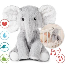CLOUD B Elliot Elephant- Szumiący Słoń z pozytywką
