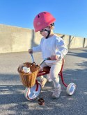 Rowerek dziecięcy trójkołowy Tricycle Oak